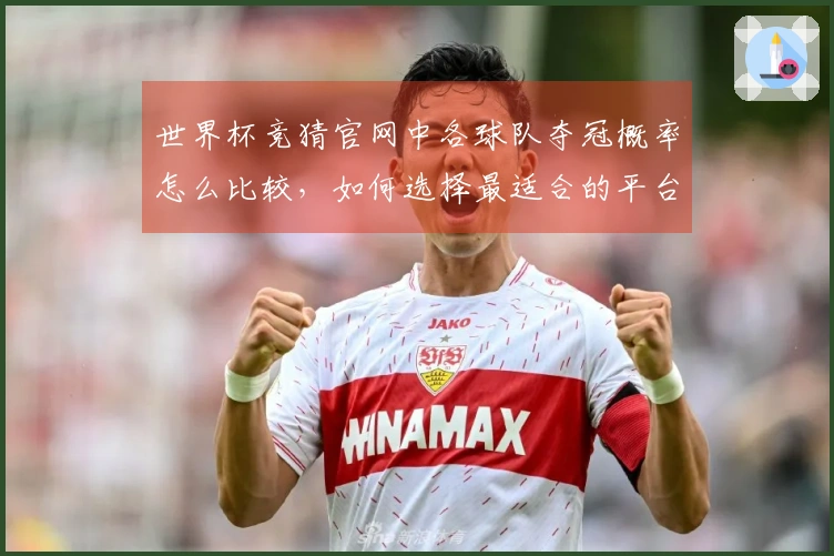 世界杯竞猜官网中各球队夺冠概率怎么比较，如何选择最适合的平台？