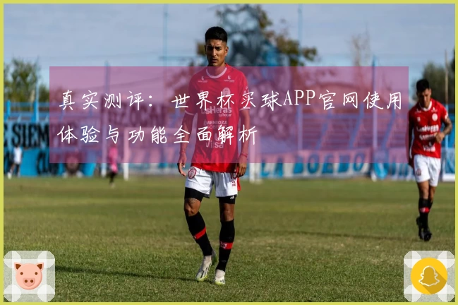 真实测评：世界杯买球APP官网使用体验与功能全面解析
