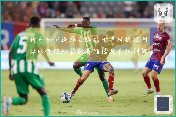 新手如何选择合适的世界杯投注网站以便轻松获取赛程信息和规则解读
