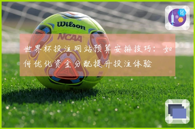 世界杯投注网站预算安排技巧：如何优化资金分配提升投注体验
