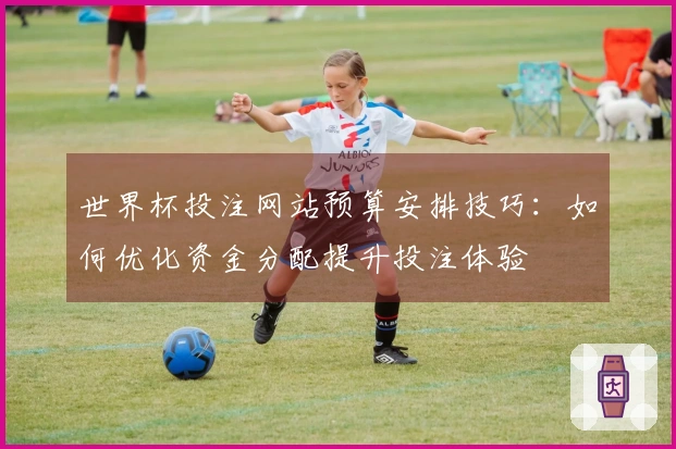 世界杯投注网站预算安排技巧：如何优化资金分配提升投注体验