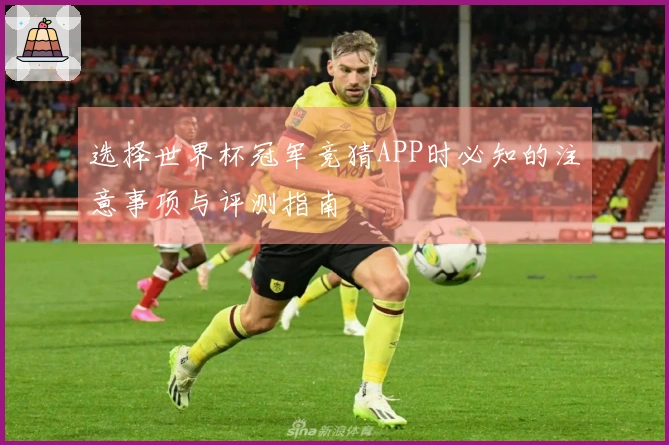 选择世界杯冠军竞猜APP时必知的注意事项与评测指南
