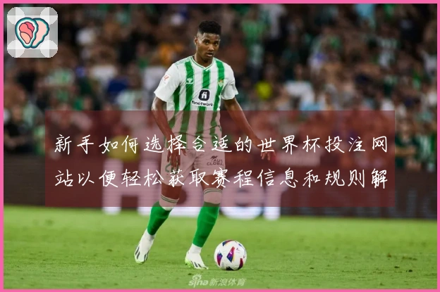 新手如何选择合适的世界杯投注网站以便轻松获取赛程信息和规则解读